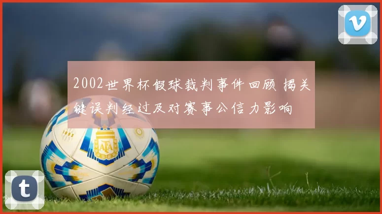 2002世界杯假球裁判事件回顾 揭关键误判经过及对赛事公信力影响