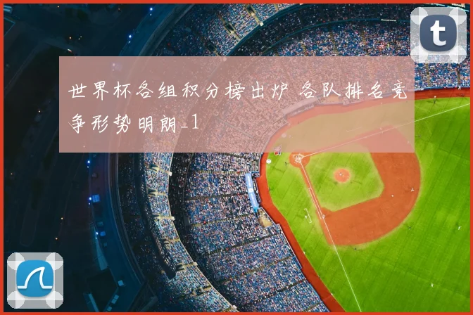 世界杯各组积分榜出炉 各队排名竞争形势明朗_1