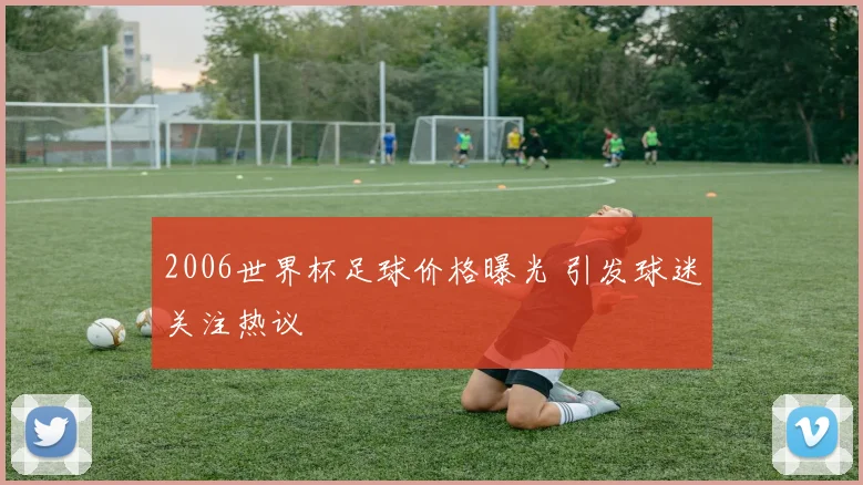 2006世界杯足球价格曝光 引发球迷关注热议