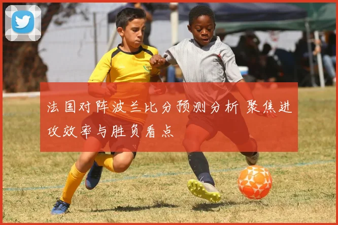 法国对阵波兰比分预测分析 聚焦进攻效率与胜负看点