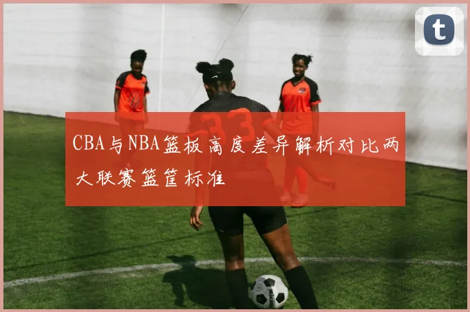 CBA与NBA篮板高度差异解析对比两大联赛篮筐标准