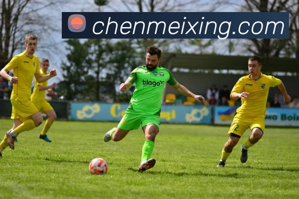 多媒体互动体验